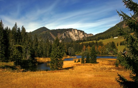 合肥借卵生子试管医院名单发布，附供卵流程与成功率！（合肥供卵试管机构）