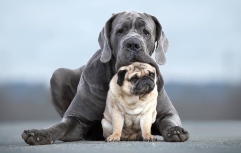 合肥当地供卵试管助孕医院排名，二代供卵价格不到4万！（合肥哪家医院做试管成功率高）