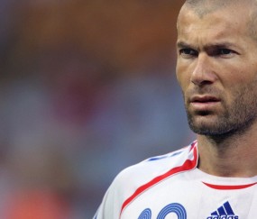 处卵泡怀孕后（怀孕后的卵泡）