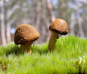 宝宝厌食健康促进消化的食谱（宝宝厌食健康促进消化的食谱大全）