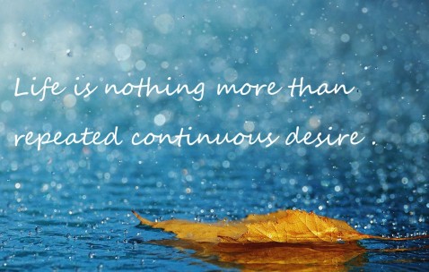 小卵泡症（小卵泡怎么办?）