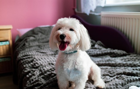 合肥借卵生子试管医院名单发布，附2024三代试管供卵价格表！（合肥试管婴儿医院排名）