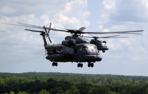 卵泡虾青素（虾青素对卵泡的作用）