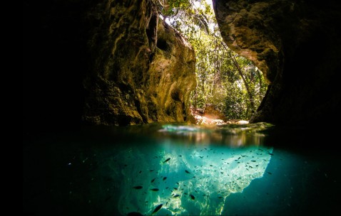 为了宝宝健康不容忽视（为了孩子身体健康）