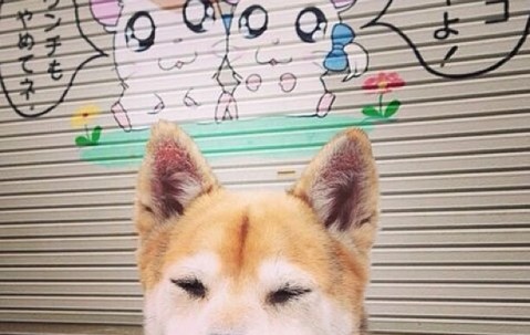 合肥捐卵助孕机构有哪些，附本地做捐卵最好的医院名单！