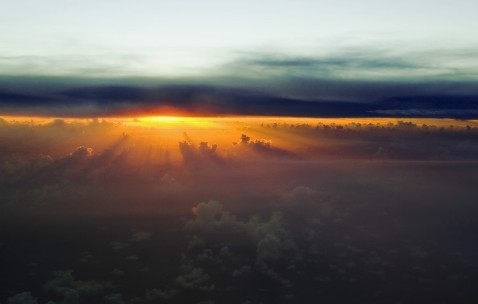 但卵泡还在（卵泡还在卵巢里是不是没排卵）