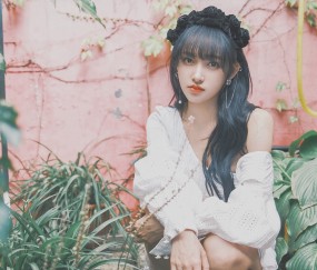 睾丸是卵泡（睾丸就是精巢吗）