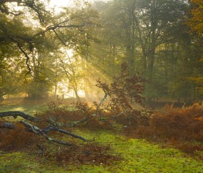 合肥捐卵医院联系方式，这4家技术好的机构全在这里！