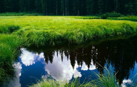 合肥捐卵医院联系方式，附18家生殖中心名单！