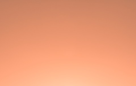 孕养卵泡（怀孕的卵泡）