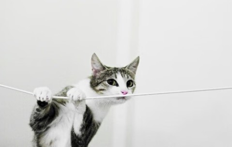 合肥捐卵助孕机构，试管捐卵助孕攻略参考！