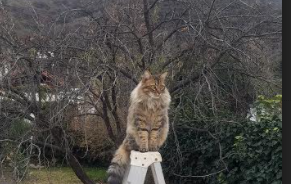 合肥捐卵助孕机构，附申请捐卵情况分析！