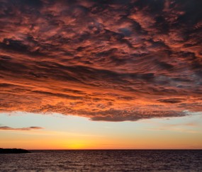 奶粉澳乐乳孕妇（澳乐乳奶粉怎么样）