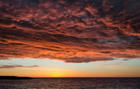 奶粉澳乐乳孕妇（澳乐乳奶粉怎么样）